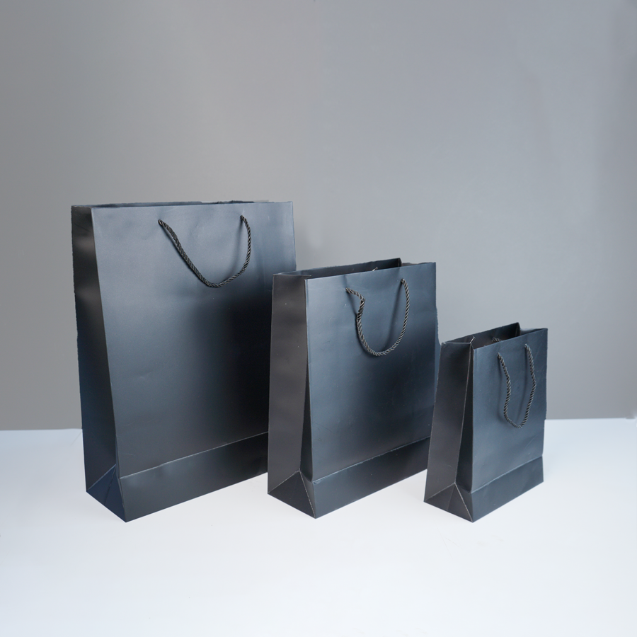 Paper bag 25-31 CM PM01