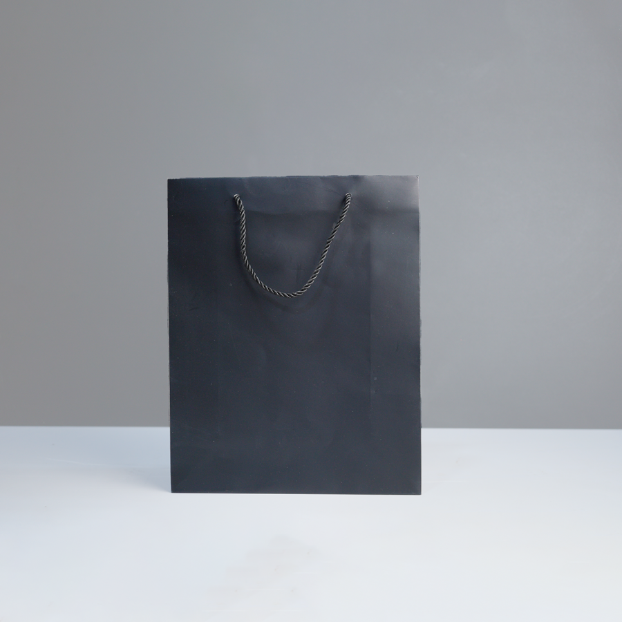 Paper bag 25-31 CM PM01
