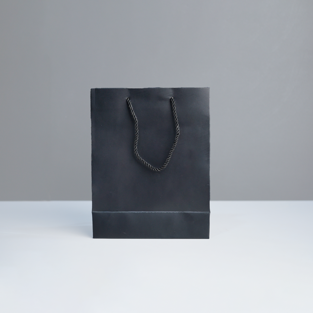 Paper bag 18-23 CM PS01
